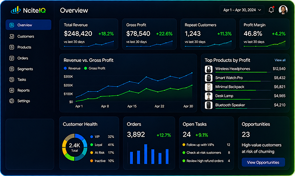 NciteIQ analytics dashboard showing revenue, gross profit, customer health, product profitability, and business opportunities